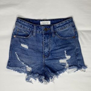 Nature Denim Distressed Shorts